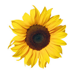 Similar image 8226488