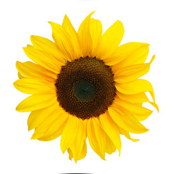 Similar image 8226491