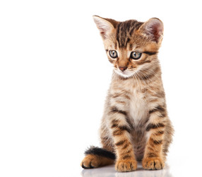 Similar image 8226506