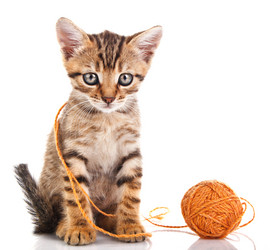 Similar image 8226508