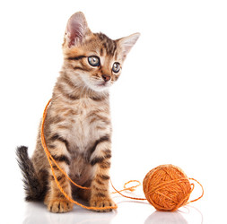 Similar image 8226509