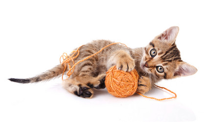 Similar image 8226511