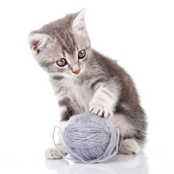 Similar image 8226512