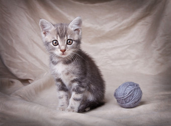 Similar image 8226515