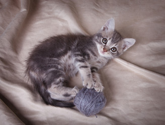 Similar image 8226516