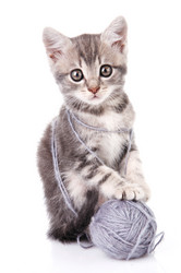 Similar image 8226520