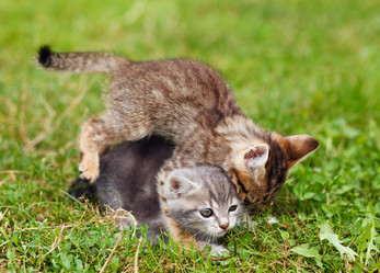 Similar image 8226521