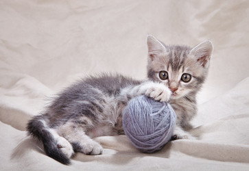 Similar image 8226524