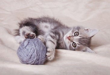 Similar image 8226525