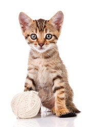 Similar image 8226526