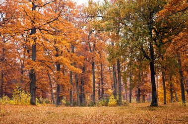 Similar image 8226533