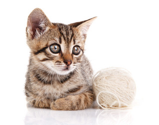 Similar image 8226535