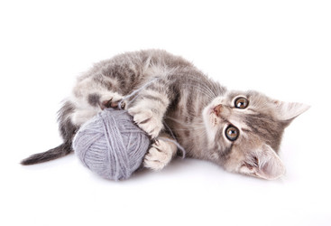 Similar image 8226537