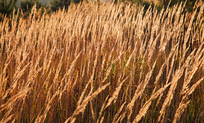 Similar image 8226540