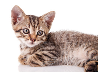 Similar image 8226541