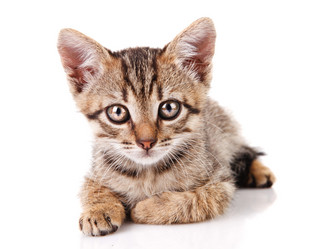 Similar image 8226542