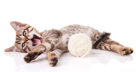 Similar image 8226544