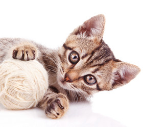 Similar image 8226545