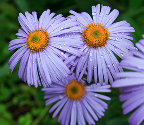 Similar image 8226547