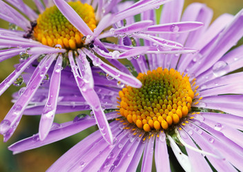 Similar image 8226549