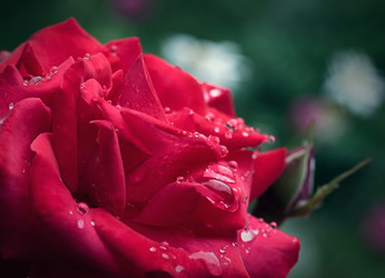 Similar image 8226555