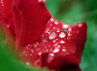 Similar image 8226556