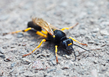 Similar image 8226557