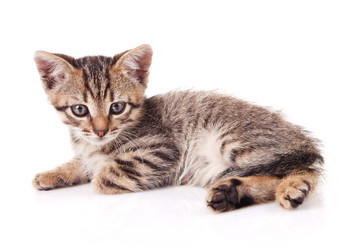 Similar image 8226558