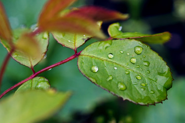 Similar image 8226563