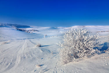 Similar image 8226572