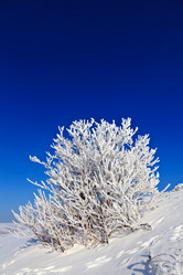 Similar image 8226573