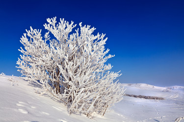 Similar image 8226597