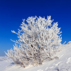 Similar image 8226598