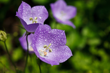 Similar image 8226599