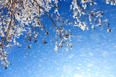 Similar image 8226601