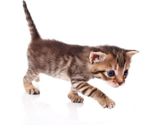 Similar image 8226689