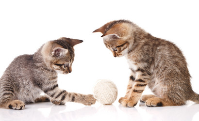 Similar image 8226727