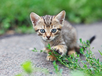 Similar image 8226730