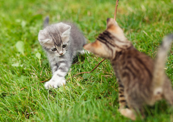 Similar image 8226734