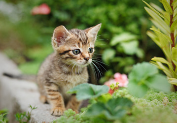 Similar image 8226735