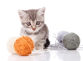 Similar image 8226747