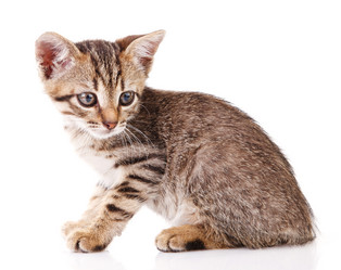 Similar image 8226749