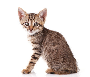 Similar image 8226750