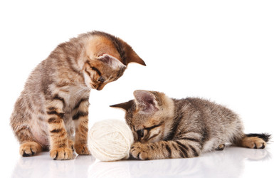 Similar image 8226752