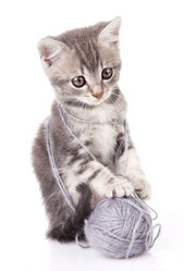 Similar image 8226756