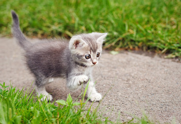 Similar image 8226757