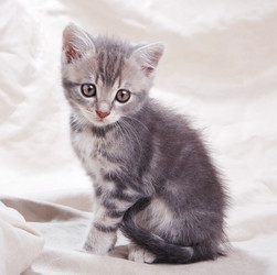 Similar image 8226760