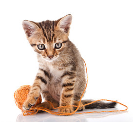 Similar image 8226762