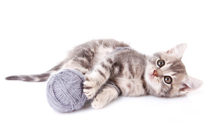 Similar image 8226764