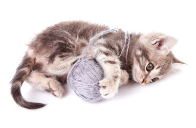 Similar image 8226765